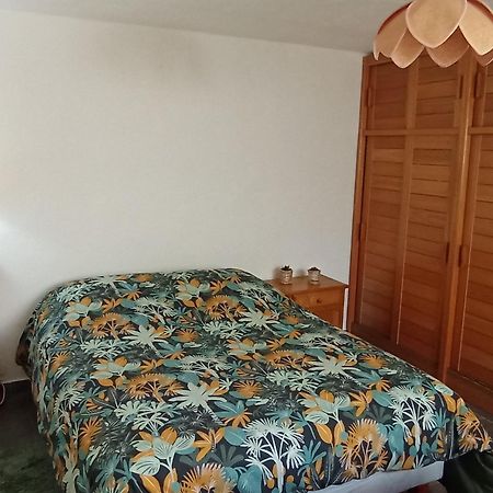 Le Ptit Crouzon Apartment Prades  Luaran gambar