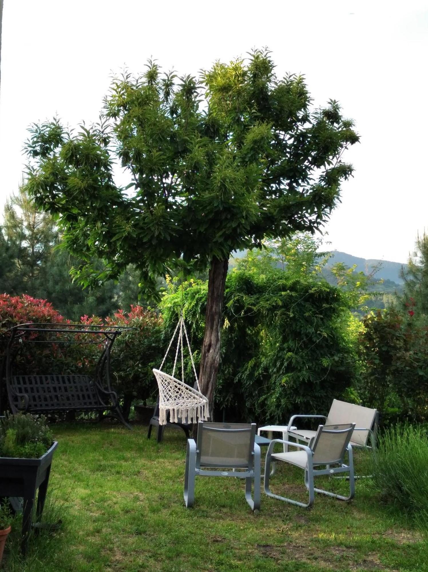 Le Ptit Crouzon Apartment Prades  Luaran gambar